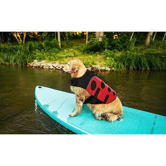 ASENKU Dog Life Jacket Pet Safety Vest Ripstop Flotation Pet Swimsuit, Size M - Picture 3 of 9